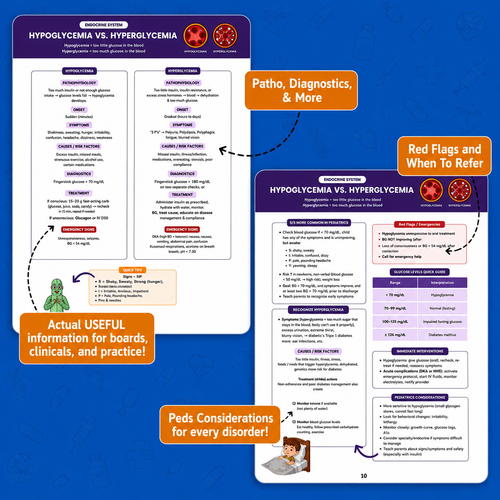 The Essential Pharmacology Guide for Nursing Students